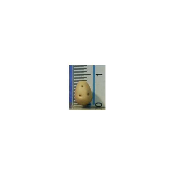 Patata 0,8 cm resina