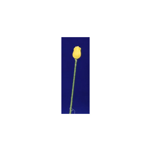 Yellow tulip 0,6cm plus stem plastic