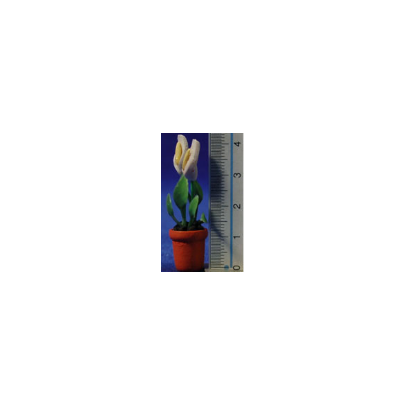 Maceta tulipas  4 cm resina
