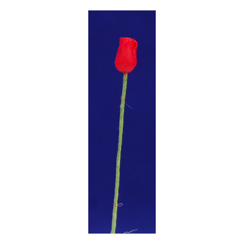 Tulipan rojo 0,6cm mas tallo plàstico