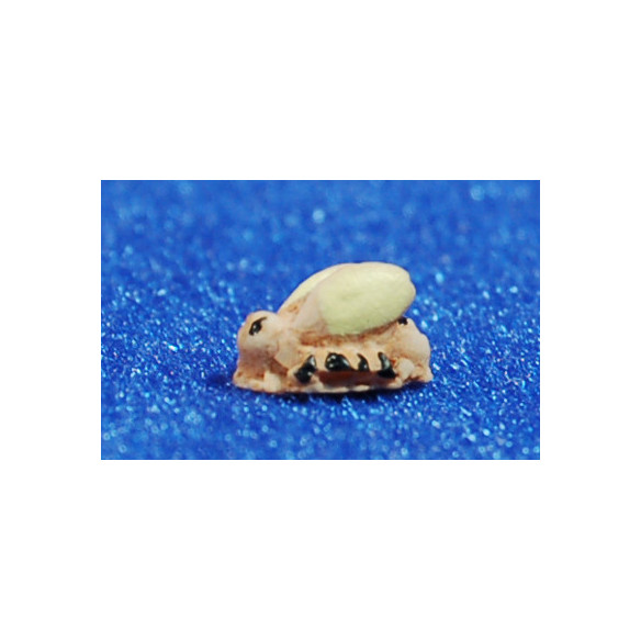 Ape 0,7 cm cm resina Belenes Puig
