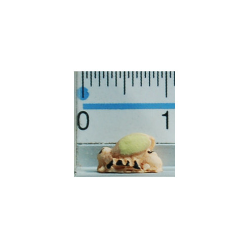 Abeja 0,7 cm resina