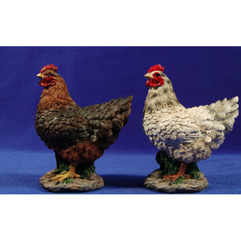 Brown chicken 60 cm resina