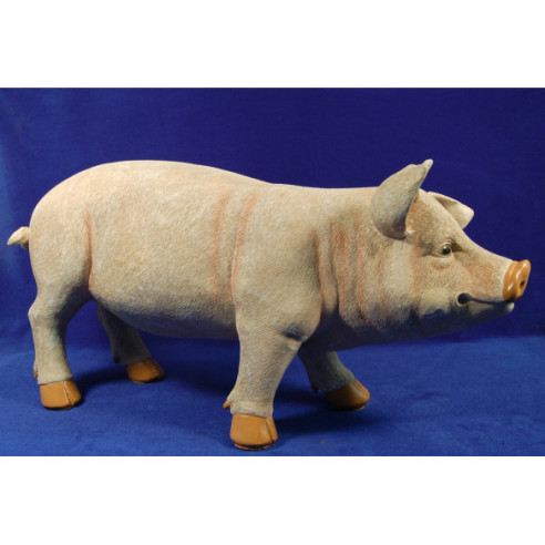 Maiale 80 cm resina