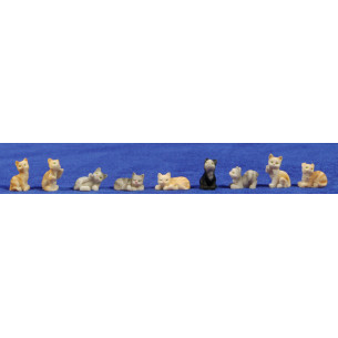 Cat 7 cm resin