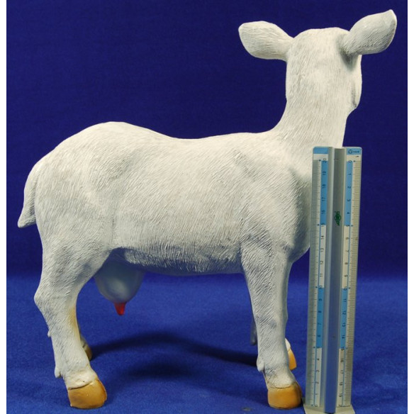 Capra bianca 100 cm resina