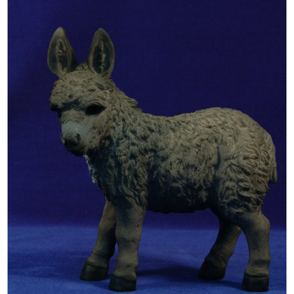 Asino 40 cm resin