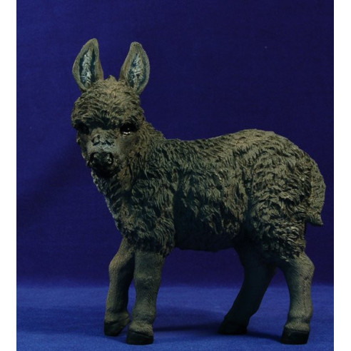 Asino 50 cm resin