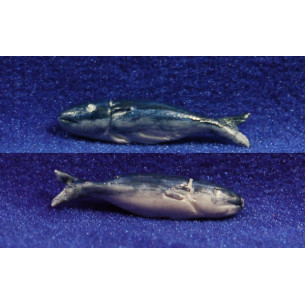 Fish (2 face painted) 3,5 cm resin