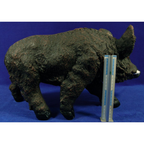 Porc senglar 80 cm resina