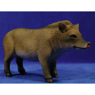 Cria porc senglar 80 cm resina