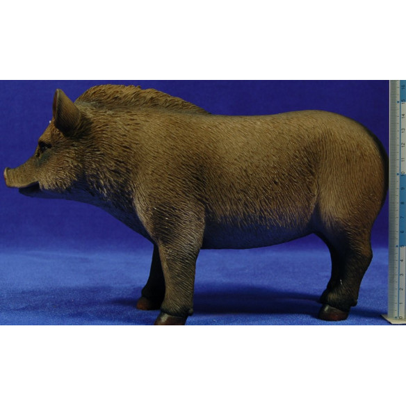 Cria porc senglar 80 cm resina