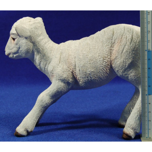 Sheep M2 50 cm resin