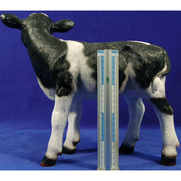Calf 80 cm resin