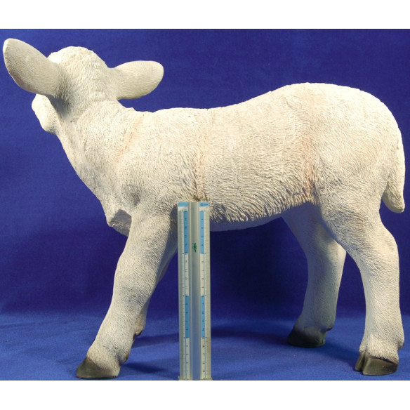 Cordero pequeño 160 cm resina
