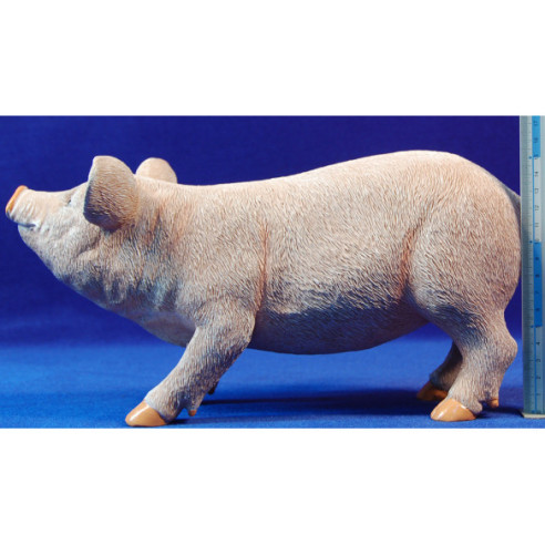 Cerdo 40 cm resina