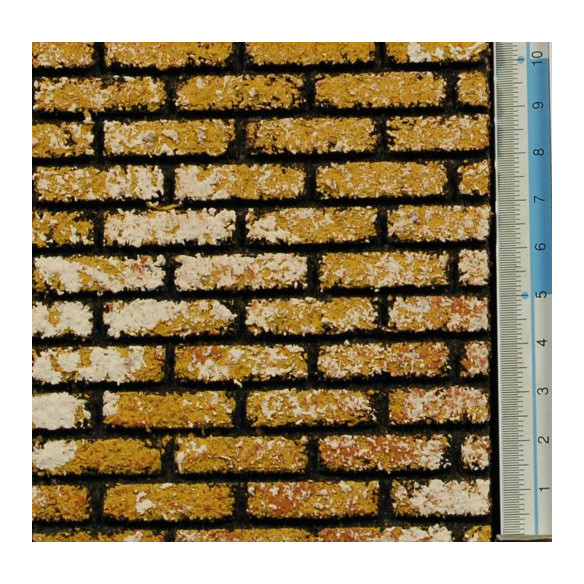 Muro pietra o terra mattonia 33x25 sughero