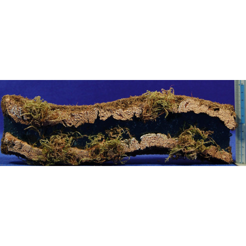 Fiume scontornato 30x8 cm suggero