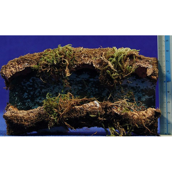 Fiume scontornato 15x8 cm suggero