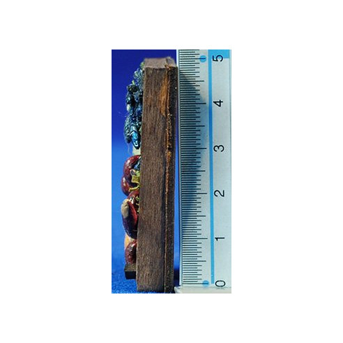 Bandeja peces 5x3 cm madera