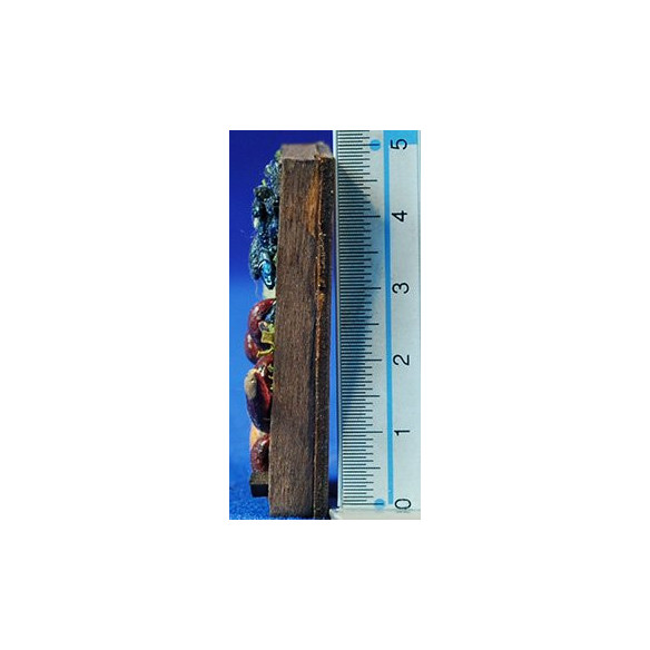 Bandeja peces 5x3 cm madera