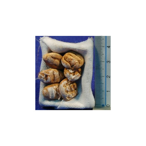 Scatola con pani 4 cm legno