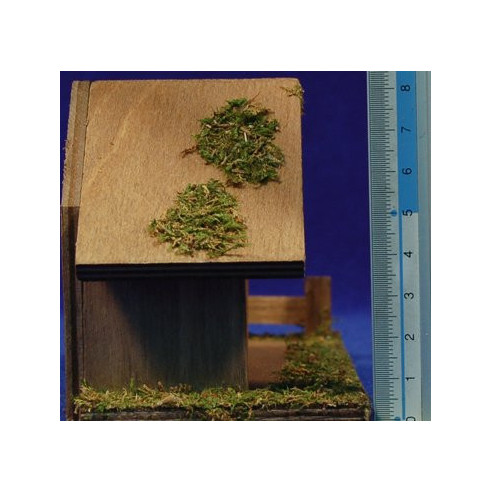Cave 3-4 cm wood