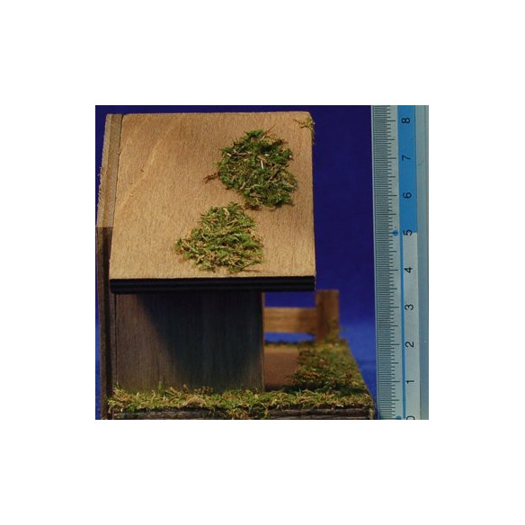 Cave 3-4 cm wood