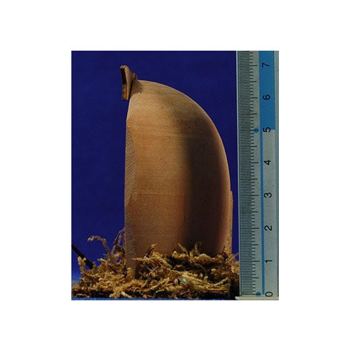 Cave light 3-4 cm wood