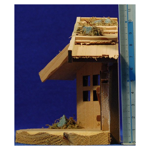 Cave light 5-6 cm wood