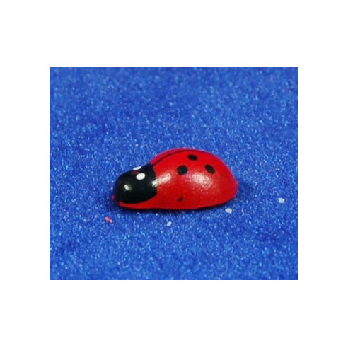 Coccinella 20 cm legno