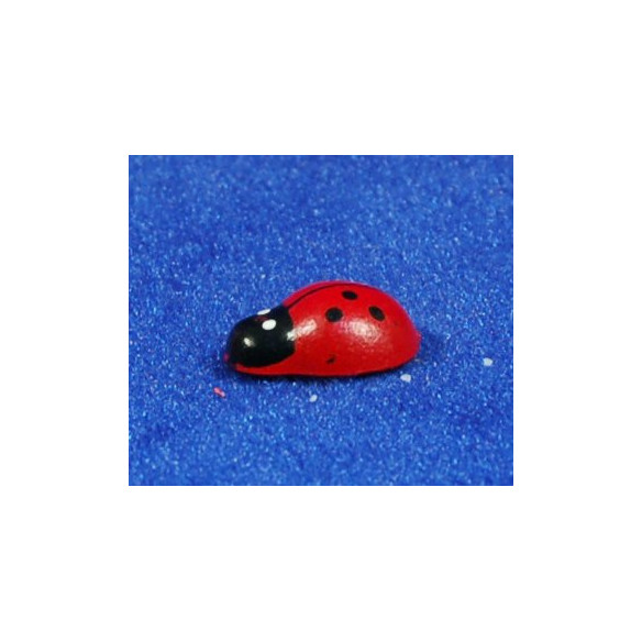 Coccinella 20 cm legno