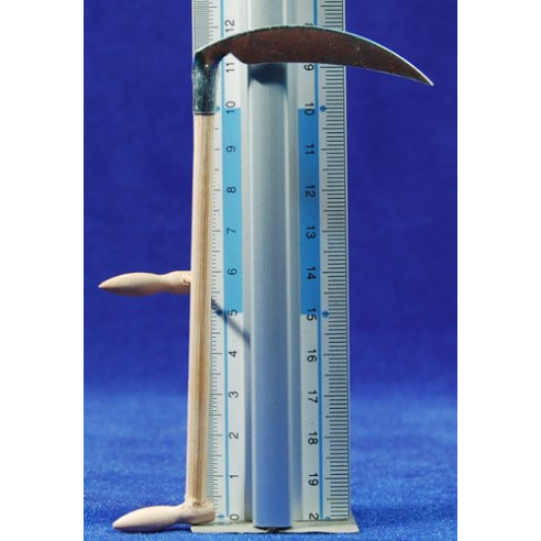 Dalla 12 cm fusta