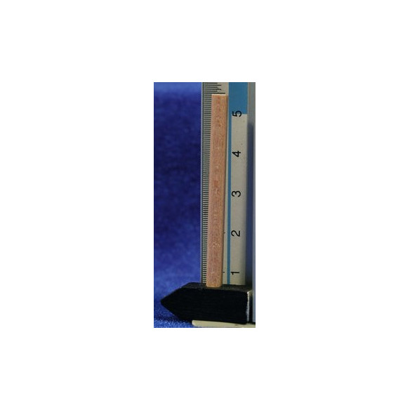 martello 5,5 cm legno
