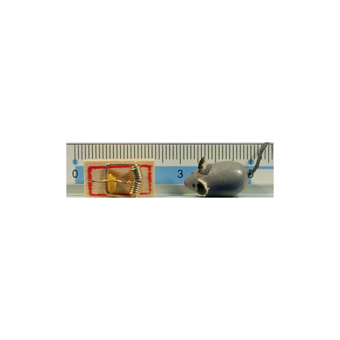 Ratón con queso 2 cm madera