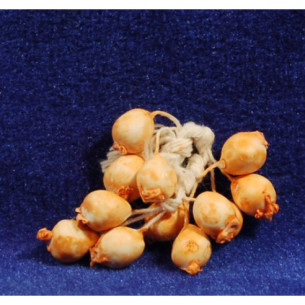 Cipolle 4,5 cm vimini