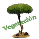 Plantes plàstic