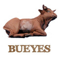 Bue