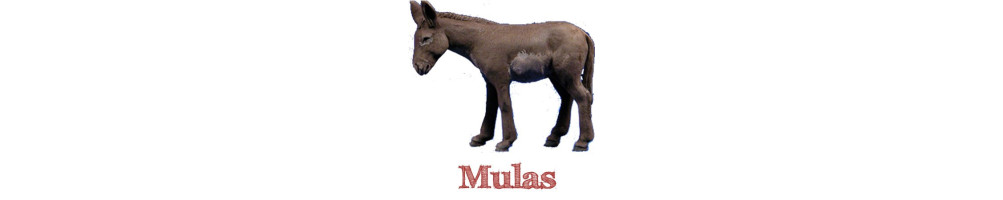 Mules 30 cm