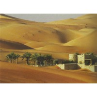 Fondo desierto y palmeras 70x50 cm papel